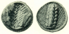 SO 1238 - Metapontum over Selinus.png