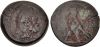 Ptolemy IV Classical Numismatic Group, Keystone 8, 23 Aug. 2022, 45.jpg