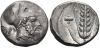 Metapontum 21629 Nomos+.jpg