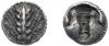 RQMAC 4 - Metapontum, silver, hekte, 510-480 BC.jpg