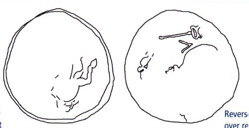 File:1356 Leucas (drawing).jpg