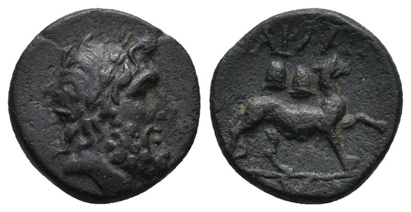 File:Parlais Zeus Panther.jpg