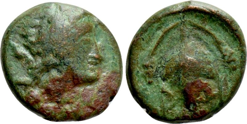 File:Bisanthe Dionysus grape.jpg