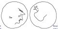 Thumbnail for version as of 11:10, 31 July 2023