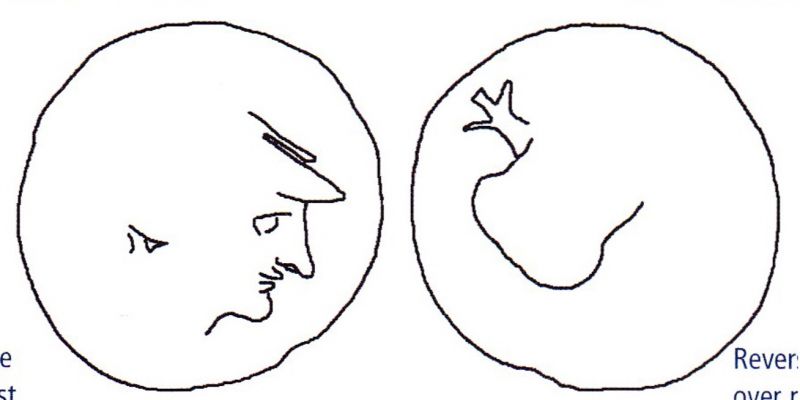 File:1777 Side Athena-pomegranate (drawing).jpg