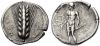 RQMAC 5 - Metapontum, silver, stater, 480-400 BC.jpg