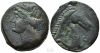 Sardinia Tanit horse 14g.jpg