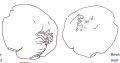 Thumbnail for version as of 11:38, 25 July 2023