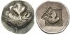 SO 169 - Selinus (didrachm leaf-incuse square).jpg